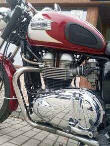 Triumph  Bonneville T 100 - 15