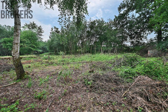 Rodinný dům Zásmuky - Vršice, pozemek 42.000 m2 - 15