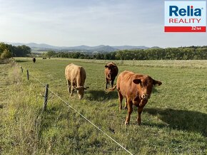 Prodej stavebního pozemku s krásnými výhledy ve Svojkově - 15