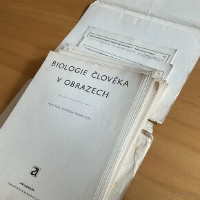 Biologie člověka v obrazech- 1976 - 15