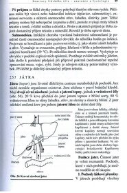 Biologie člověka pro gymnázia v PDF - 16