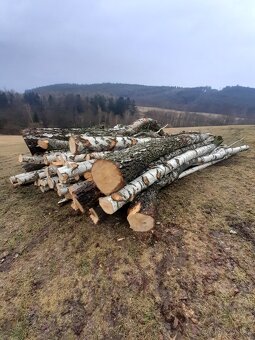 Palivové dřevo smrk suchý, buk- suchý , bříza - 16