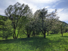 Prodám zahradu 2000m² - Frýdštejn - Sestroňovice - 16