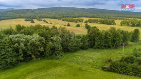 Prodej louky, 4178 m², Dětřichov - 17