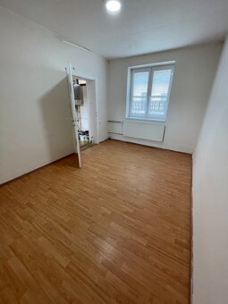 Pronájem RD 2+1 s pozemkem 550 m² Jezeřany-Maršovice - 17