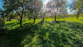 Prodej stavebních pozemků Čejkovice - 17