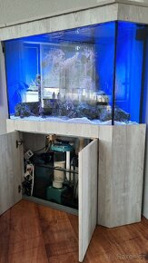 Morske akvarium - 17