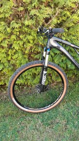 Specialized Amber FSR Comp Carbon 29" - 17