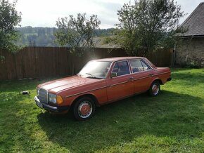 Mercedes w123 200d - 18