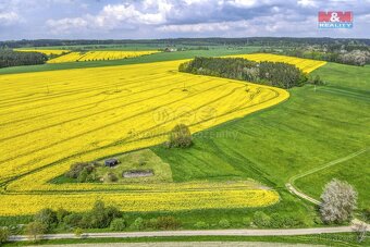 Prodej pole, 6672 m², Pláň, Ostrov u Bezdružic - 18