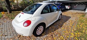 Volkswagen New Beetle - 18