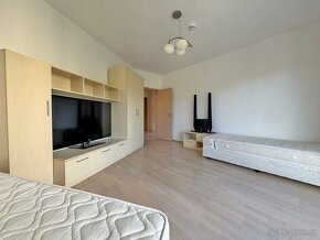 Luxusní 4+1 mezonetový penthouse s privátní saunou a grilem - 18