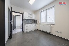 Pronájem skladu, 740 m², Roudná - 18