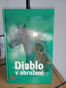 Knihy o koních pro dívky- dobrodružné příběhy - 18