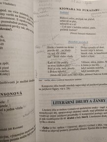 Učebnice český jazyk a literatura - 18