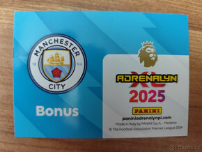 Fotbalové kartičky Panini Premier League 2025 - 18