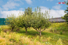 Prodej rodinného domu v Břežanech nad Ohří - 18