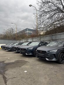 Cupra Formentor různé barvy - 18