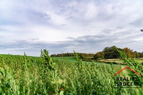 Prodej pozemků Hradská, 11 stavebních pozemků, 11661 m2, Hor - 19