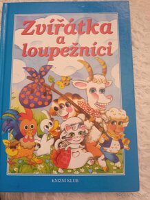 Broučci, Dášenka, O chytré kmotře lišce, knihy s puzzle aj. - 19