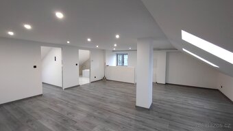 Prodej rodinného domu 250 m², pozemek 790 m² - 19