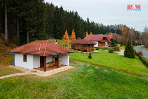 Prodej chaty 54 m², s pozemkem 1000 m², Borušov - Svojanov - 19