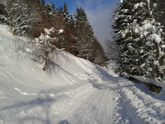 APARTMÁN V KRKONOŠÍCH /4os. - 19