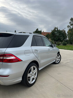 Mercedes-Benz ML 350 Bluetec 4Matic - 19