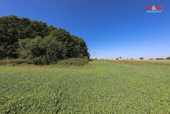 Prodej pole, 4733 m², Plzeň - 19