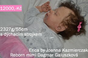 Prodám reborn dvojčátka Eric/Erica - 19