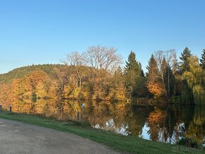 Prodej chalupy / chaty 80m², pozemek 638m², Týn nad Vltavou - 19