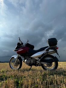 SUZUKI XF650 Freewind - 19