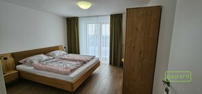 Apartmán  s výhledem  na Alpy - Svatý Tomáš - Lipno - 19