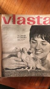 Vlasta v pevné vazbě - 1