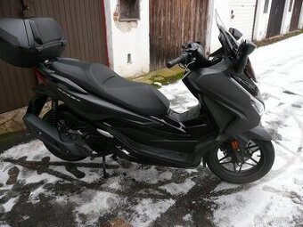 Honda Forza 125 ABS