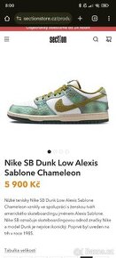 Nike dunk low SB chameleon