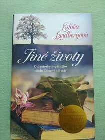 Sofia Lundbergová, Jiné životy - 1