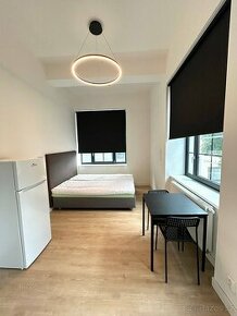 krásný byt 1+kk, 30m2 v ul. Poděbradská, Praha 9 - Vysočany