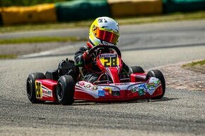 Školní dětská motokára 50 Birel ART - motor IAME - 1