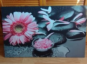 Obraz Gerbera 120 x 80 cm