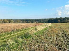 Prodej pozemku 707/5, Žumberk, orná půda - 1