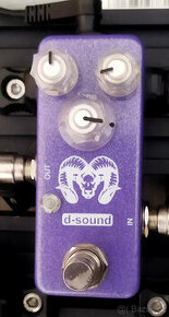 D-Sound '73 Ram's Head - 1