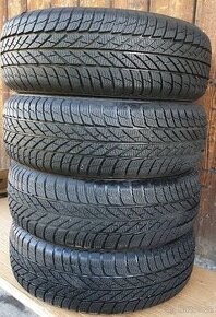 Gislaved Euro Frost 5, 195/65R15.