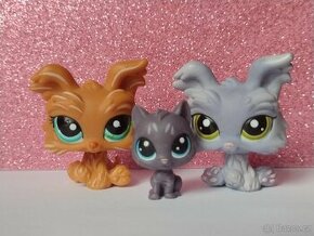 Littlest pet shop - set