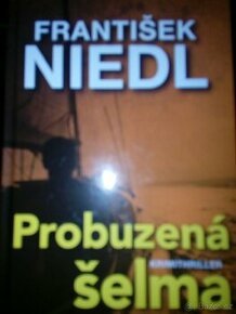 Frantisek niedl. Probuzena tma