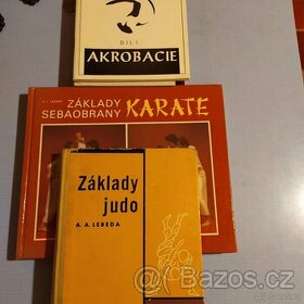 základy judo, karate, akrobacie, kondiční posilování, výživa