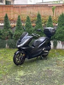 Pronájem skútru Honda PCX 125 bolt, wolt, foodora