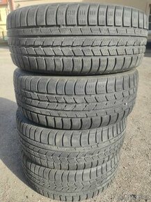 Zimni pneu Nexen Winguard Sport 225/55 R17 101V