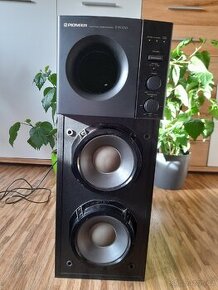 Pioneer s-w200