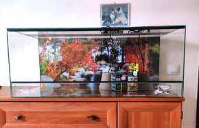 L100x40x40 terarium nové .Síla skla 5 mm .Polyuretanové poza